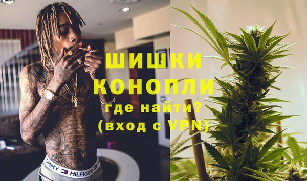 ГАЛЛЮЦИНОГЕННЫЕ ГРИБЫ Абаза