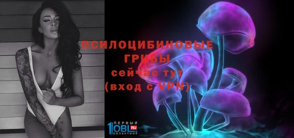 ГАЛЛЮЦИНОГЕННЫЕ ГРИБЫ Абаза