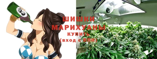 ГАЛЛЮЦИНОГЕННЫЕ ГРИБЫ Абаза