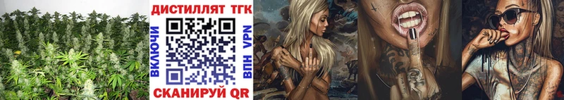 Дистиллят ТГК жижа MEGA ТОР Шиханы