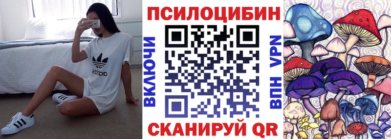 Псилоцибиновые грибы Psilocybe  Шиханы 